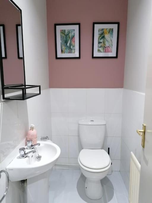Stunning 3 Bedroom Townhouse In The Heart Of City Belfast Buitenkant foto